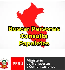 Consulta de Papeletas