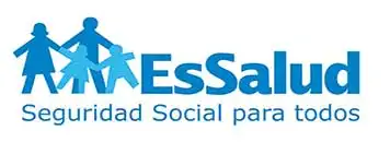 NI nombre Carnet de Extranjería, Pasaporte - ESSALUD