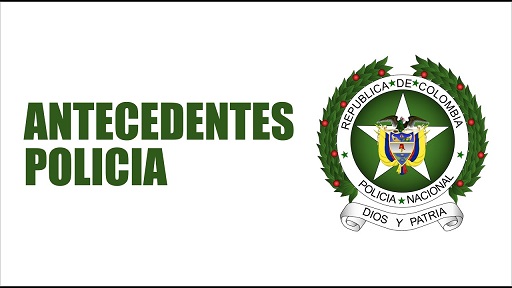 CONSULTA DE ANTECEDENTES JUDICIALES POR INTERNET CONSULTA DE ANTECEDENTES JUDICIALES POR INTERNET